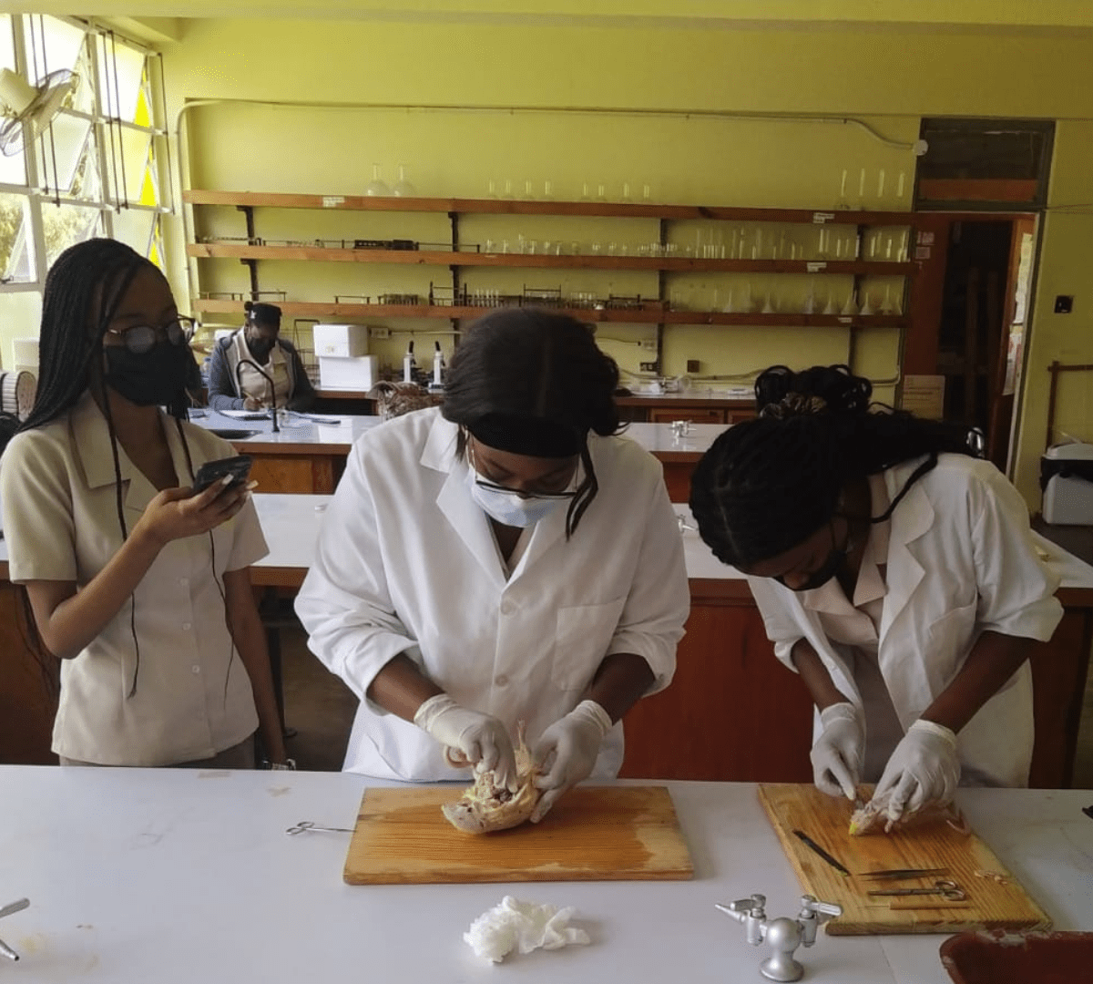 About the College Brown's Town Community College (BTCC)