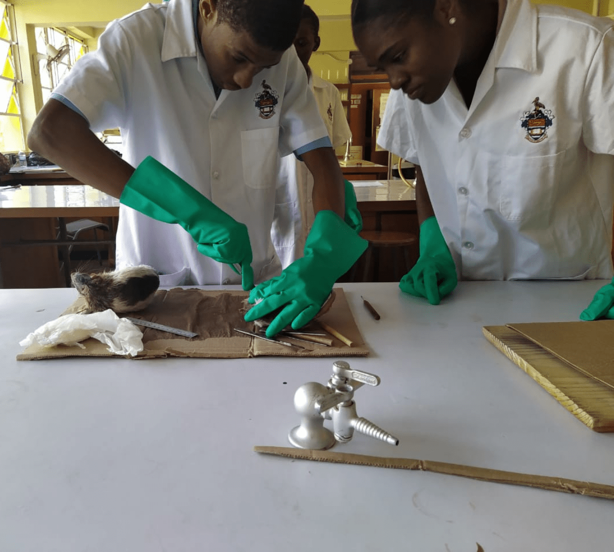 About the College Brown's Town Community College (BTCC)