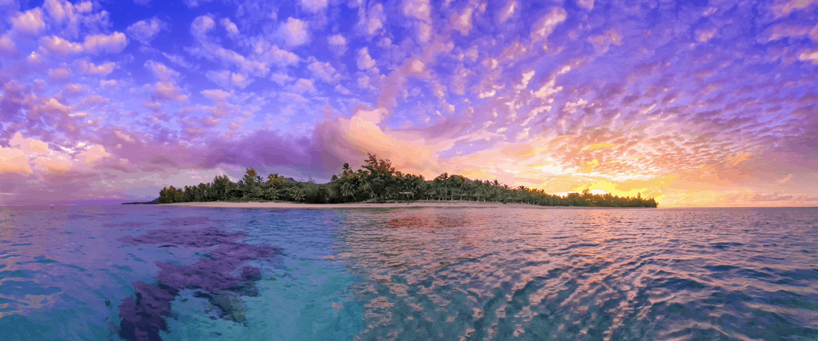 Why the Cook Islands Business Trade and Investment Board