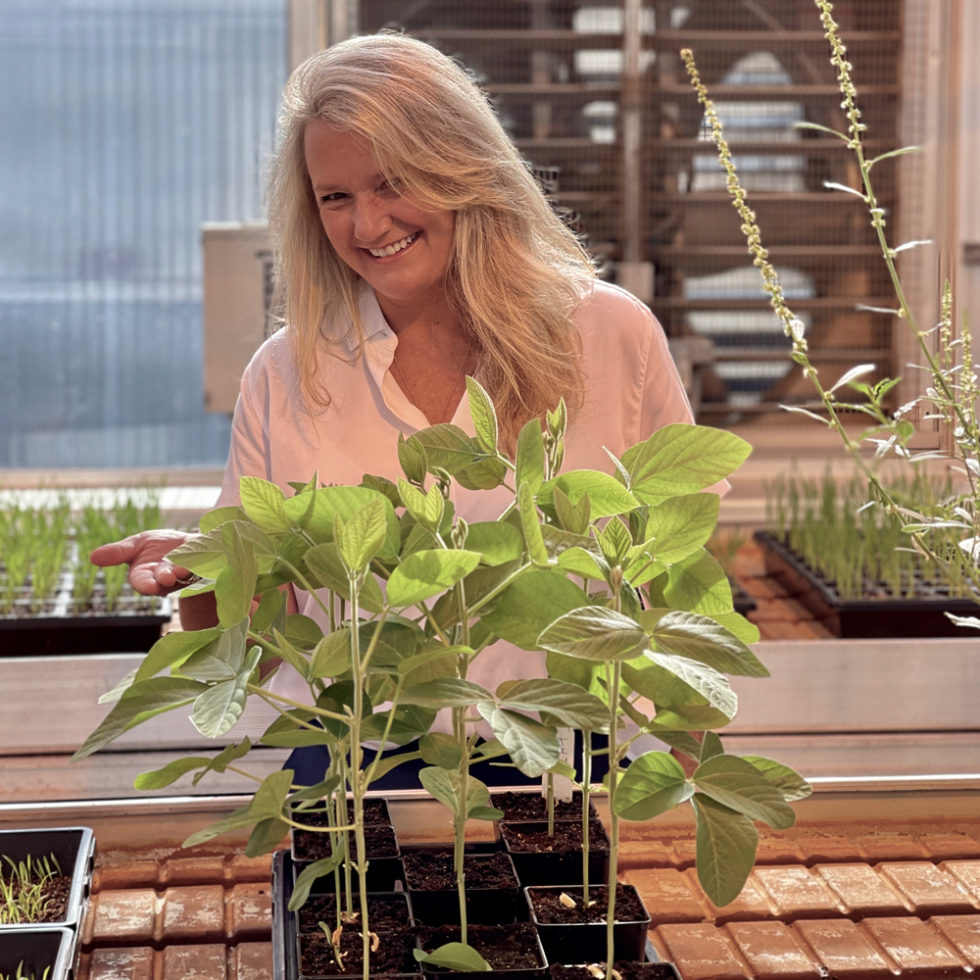 Donor Spotlight Dr. Alan Renwick Boyce Thompson Institute