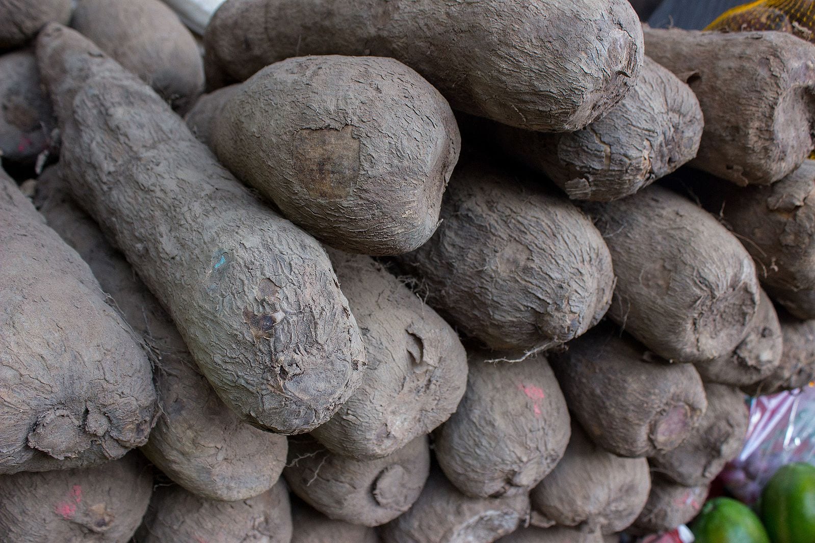 Better breeders, better yams YamBase help improve yam breeding in Africa