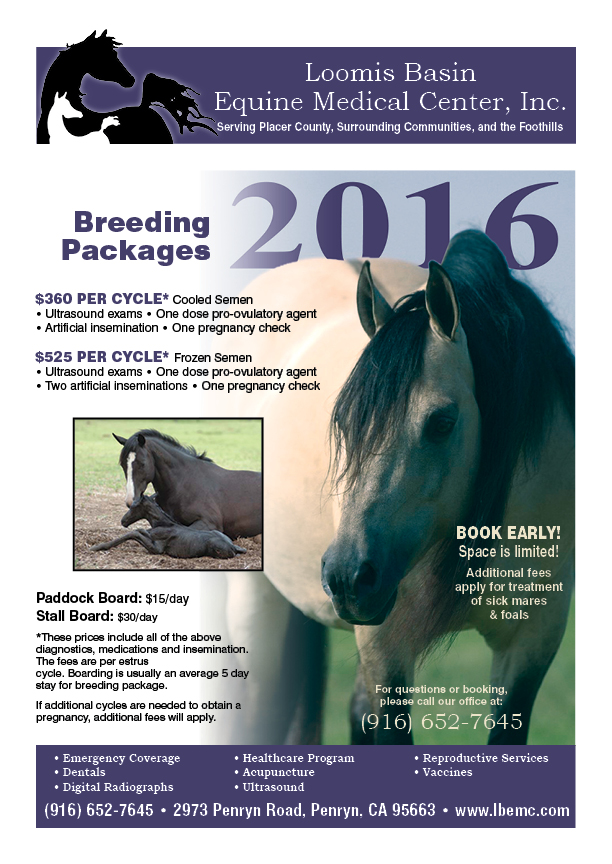 Have you seen the latest Horse Health News from BTL