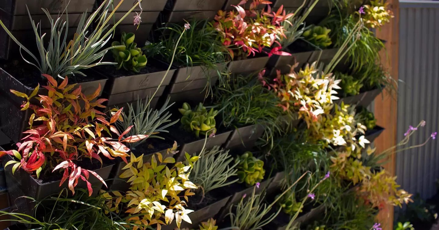 Piara Waters Boutique Timeless Landscaping