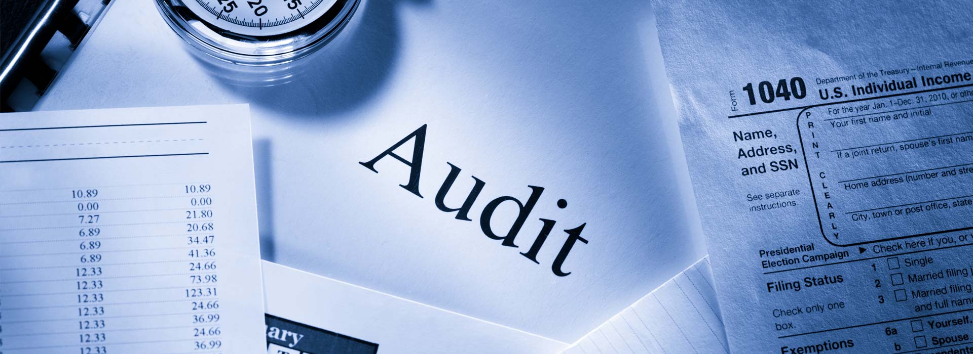 Audit Representation Bottom Line Strategies & Management, Inc