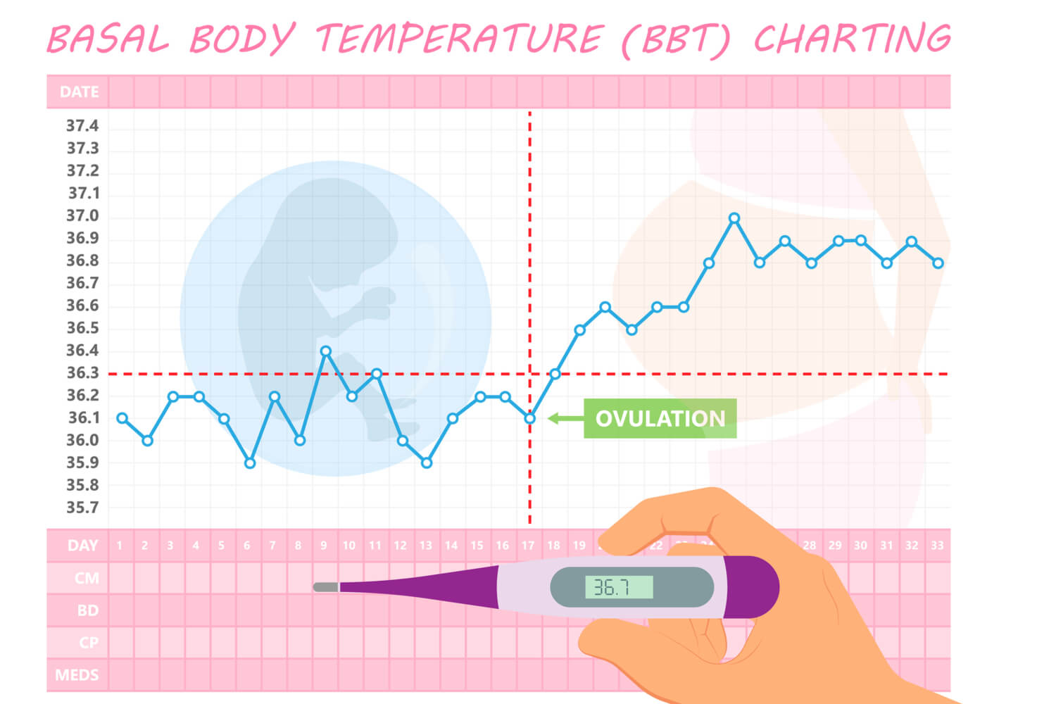 Implantation Dip- When Does it Occur? - Being The Parent