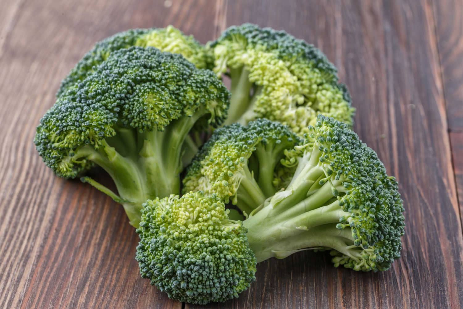 Best Energy Foods During Pregnancy Being The Parent