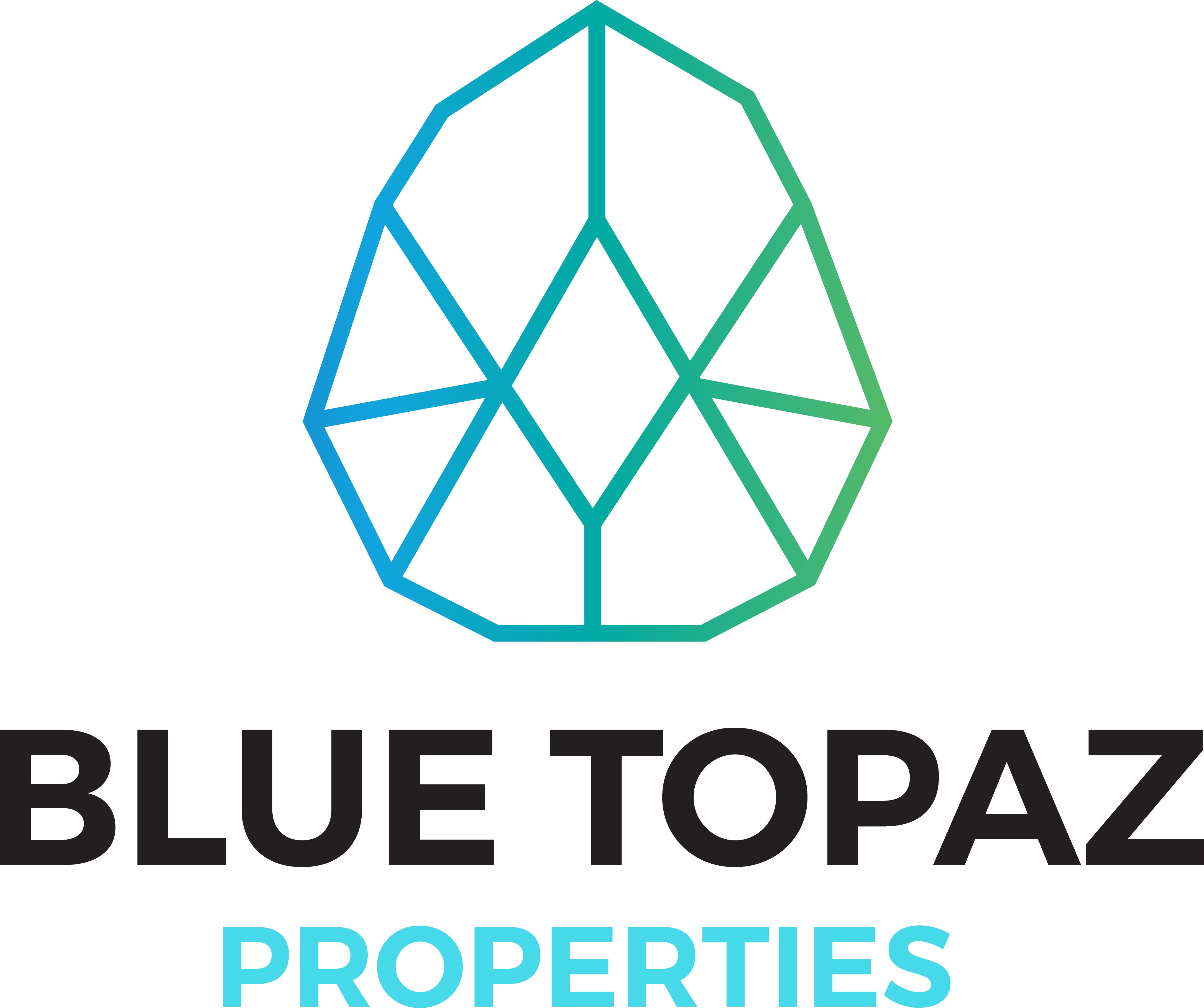 About Blue Topaz Properties LLC