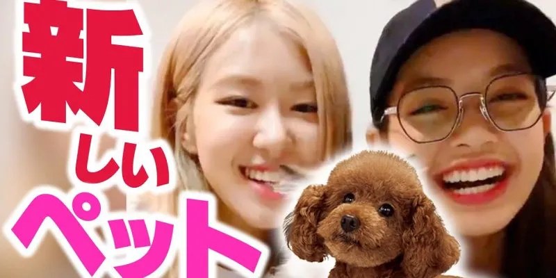 動画 リサ めちゃかわいいペット飼い始めました Blackpink日本語字幕 Crew