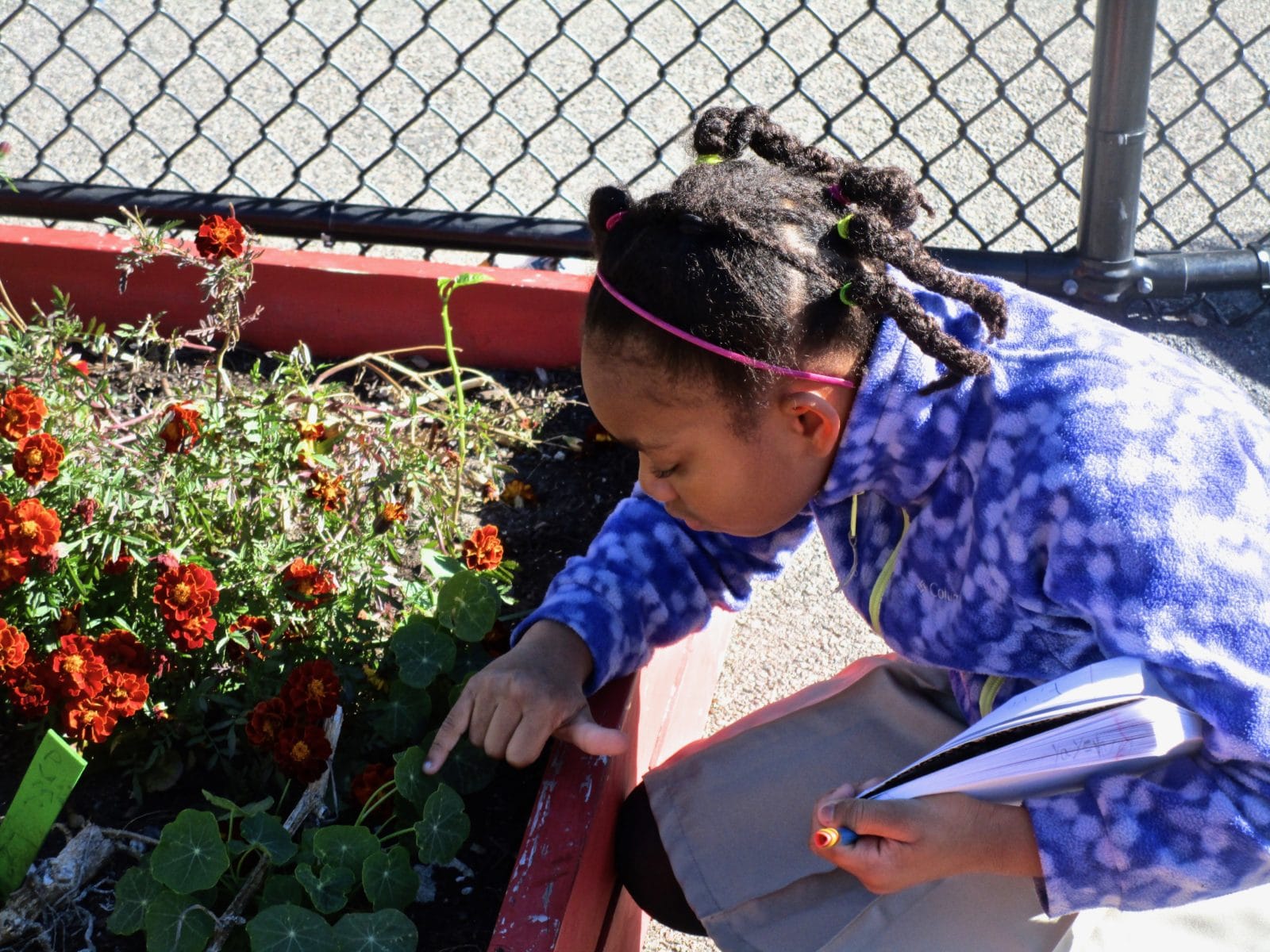 Mather Elementary School Boston Teachers Union