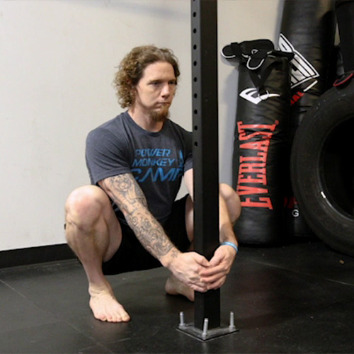 Program Barbell Mobility