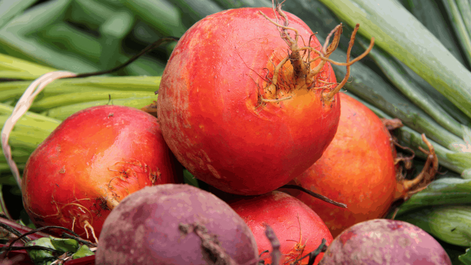 Williamstown Farmers Market on Spring Street BTW Berkshires BTW