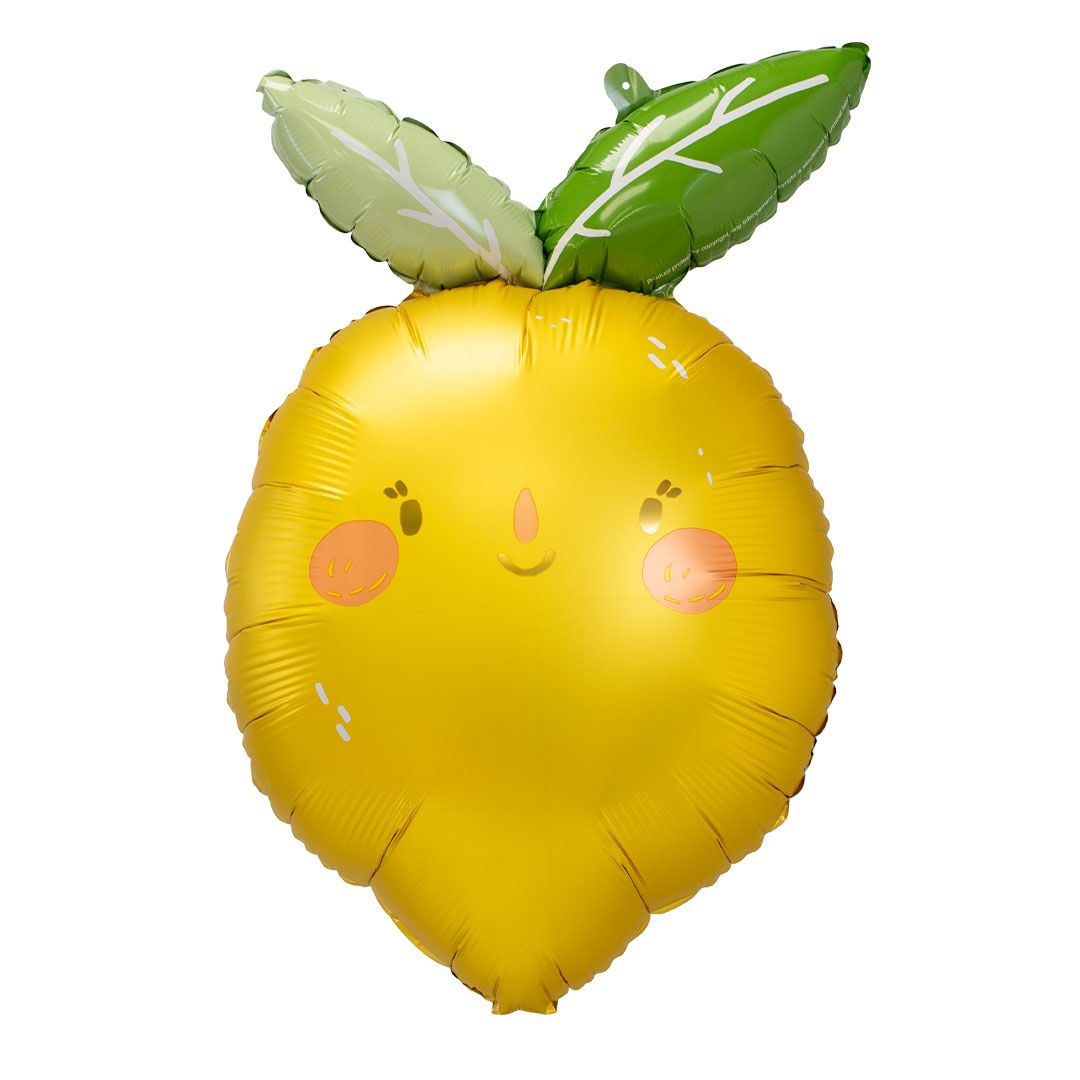 Bubblegum Balloons Inflated Balloon Arch, Garland and Helium Ceiling