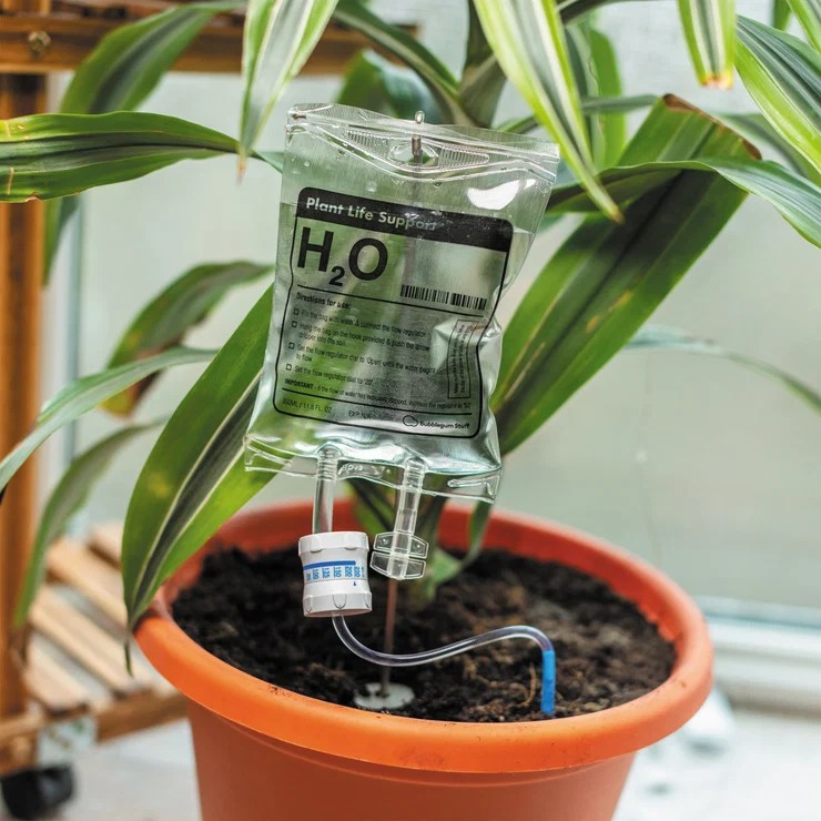 Plant Life Support SelfWaterer Bubblegum Stuff