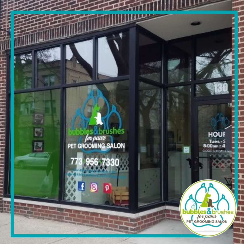 Bubbles and Brushes for Paws