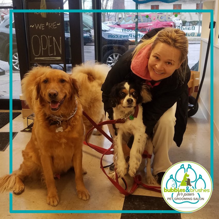 Bubbles and Brushes for Paws