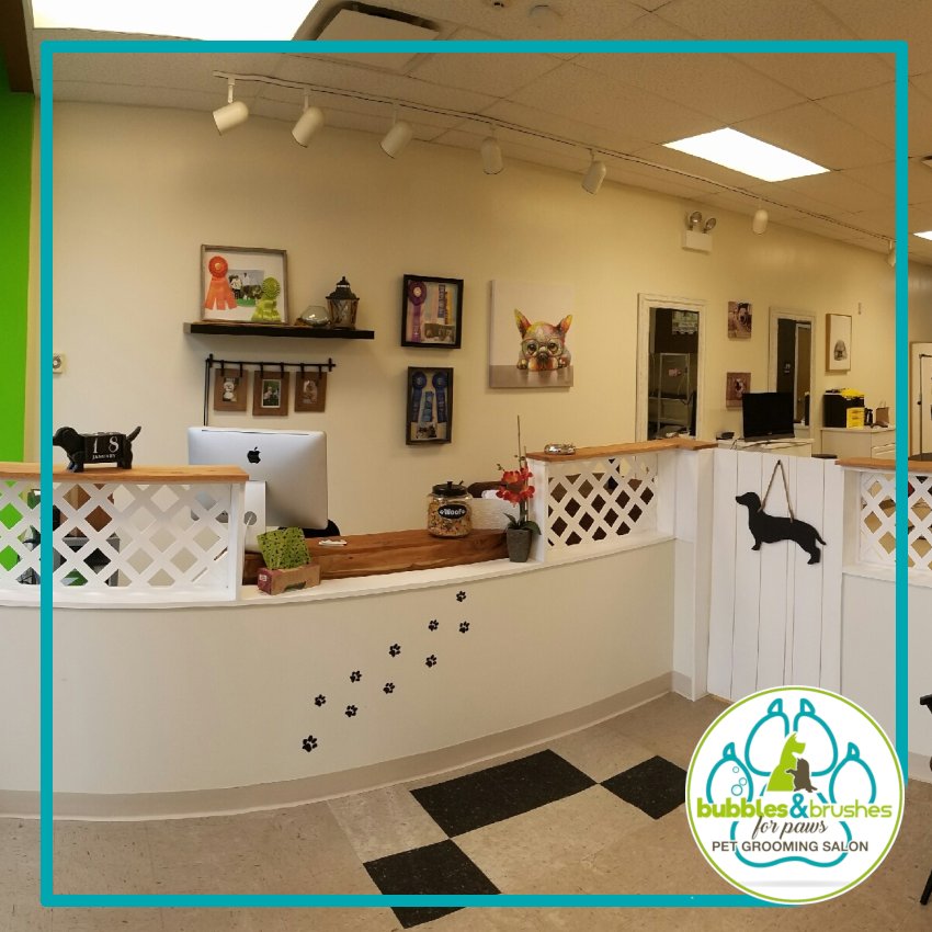 Bubbles and Brushes for Paws