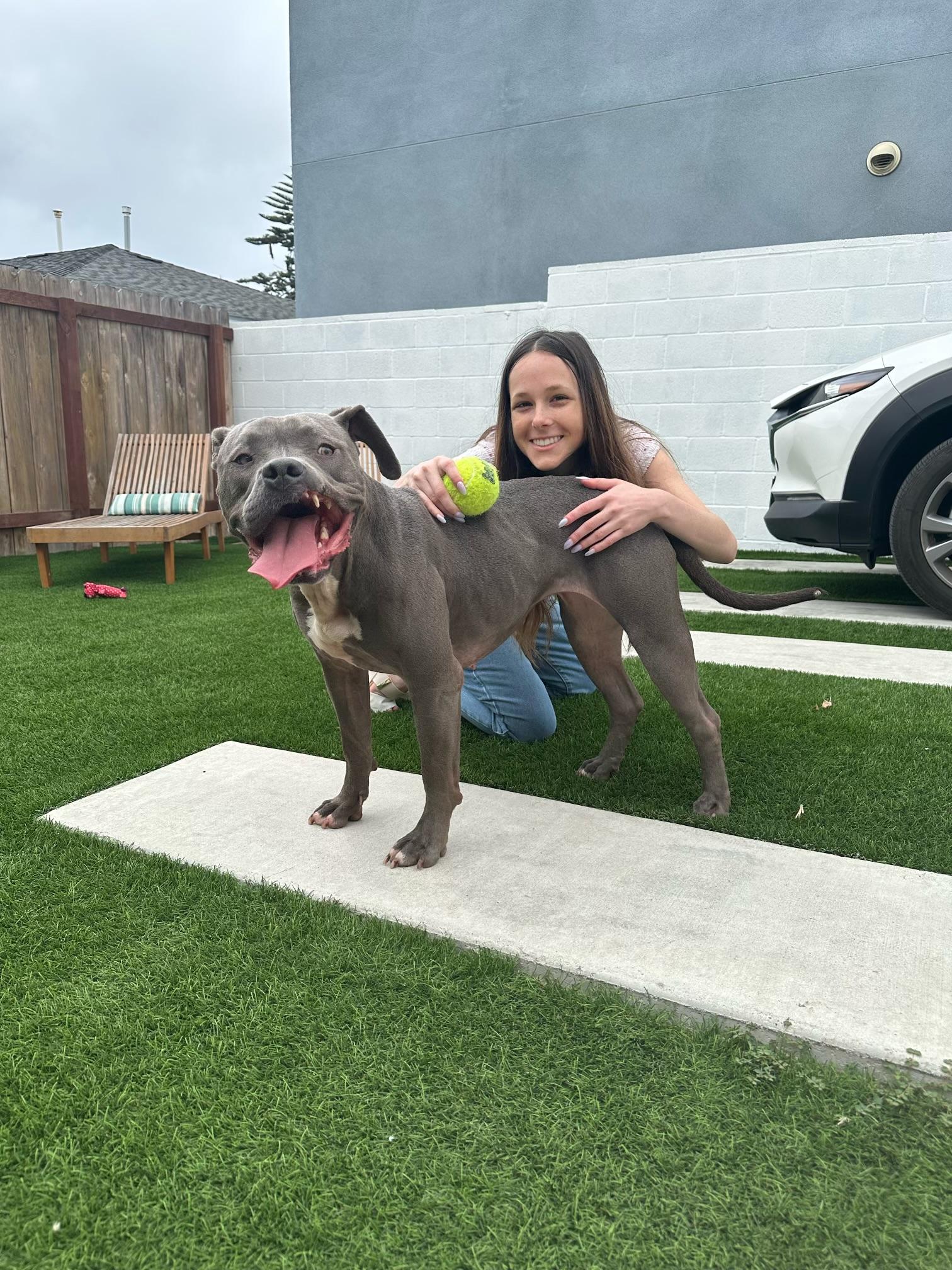 Nora Bubbles Dog Rescue