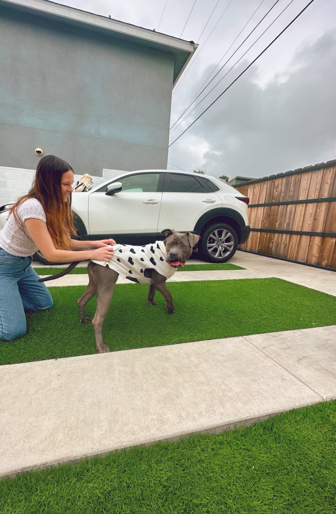 Nora Bubbles Dog Rescue