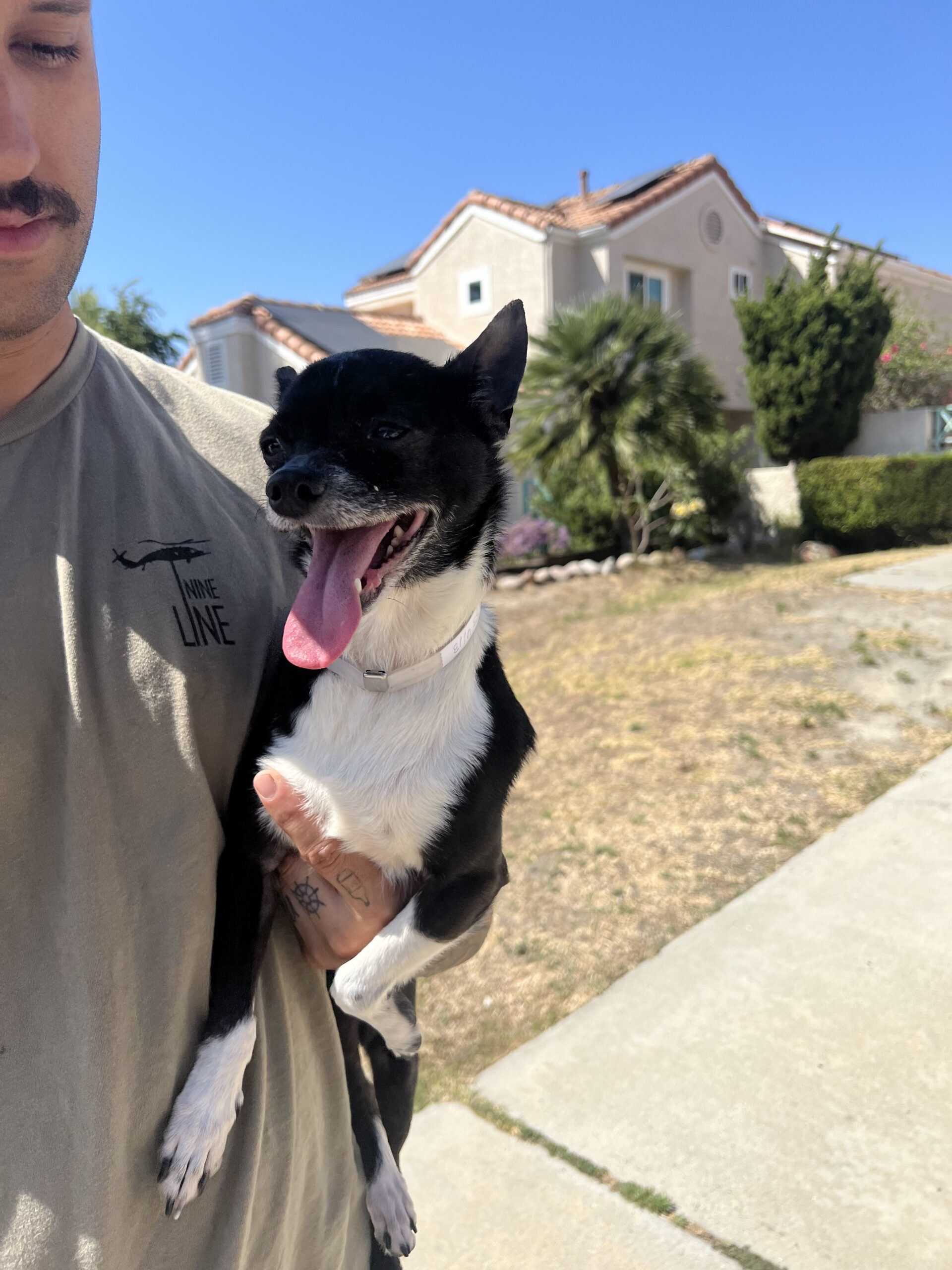 Duke Bubbles Dog Rescue