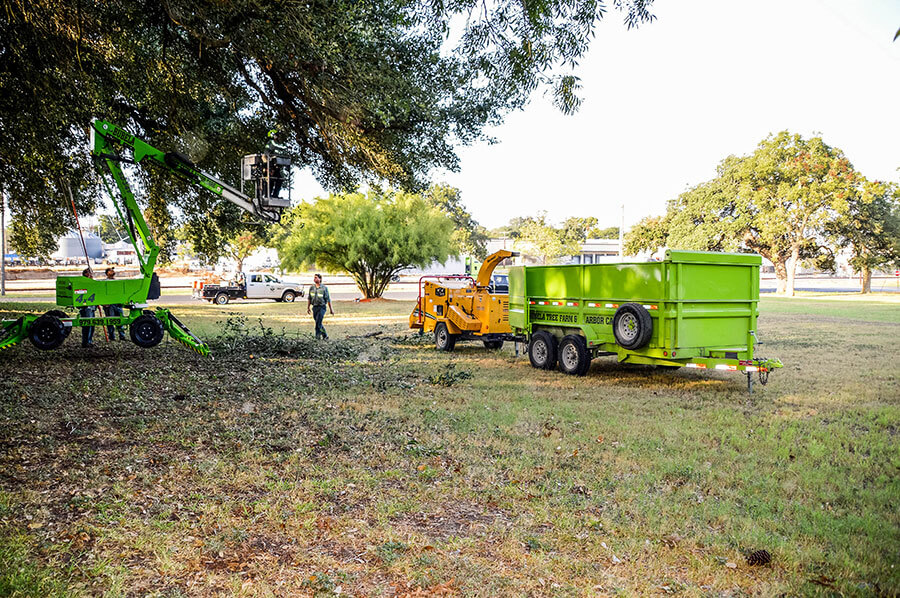 Gallery Bubela Tree Farm & Arbor Care Schulenburg, Texas