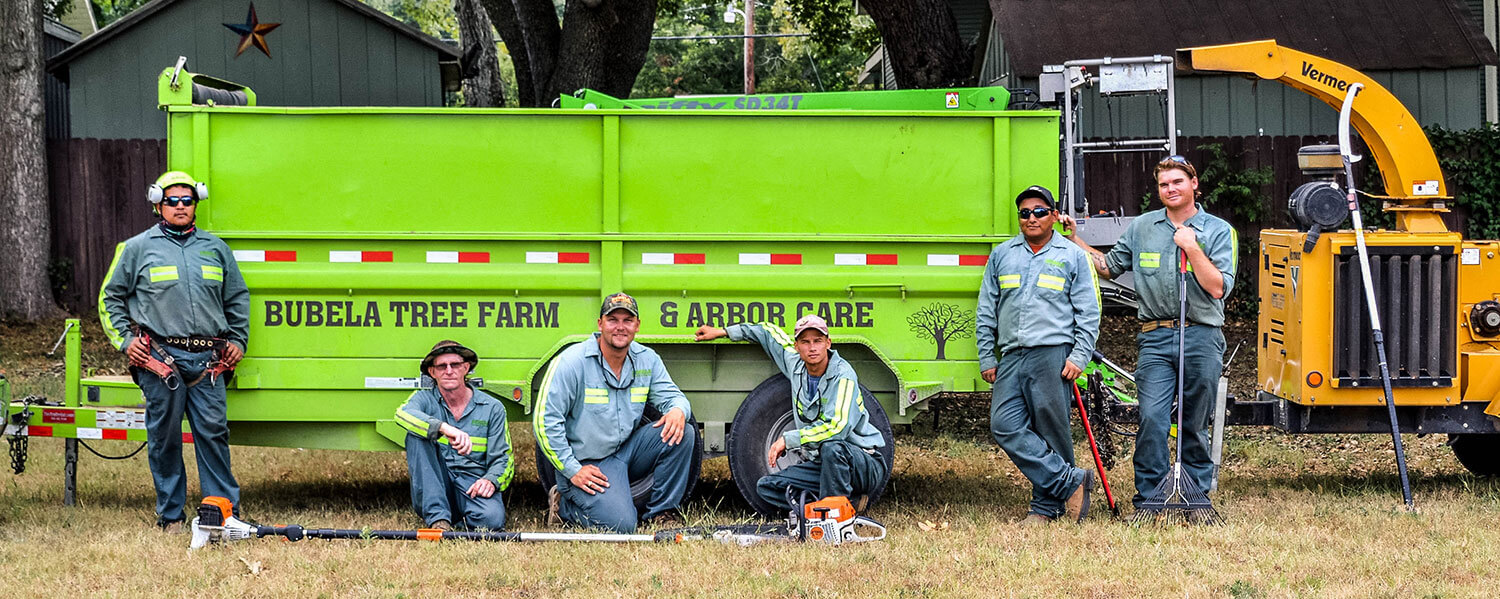 Home Bubela Tree Farm & Arbor Care Schulenburg, Texas