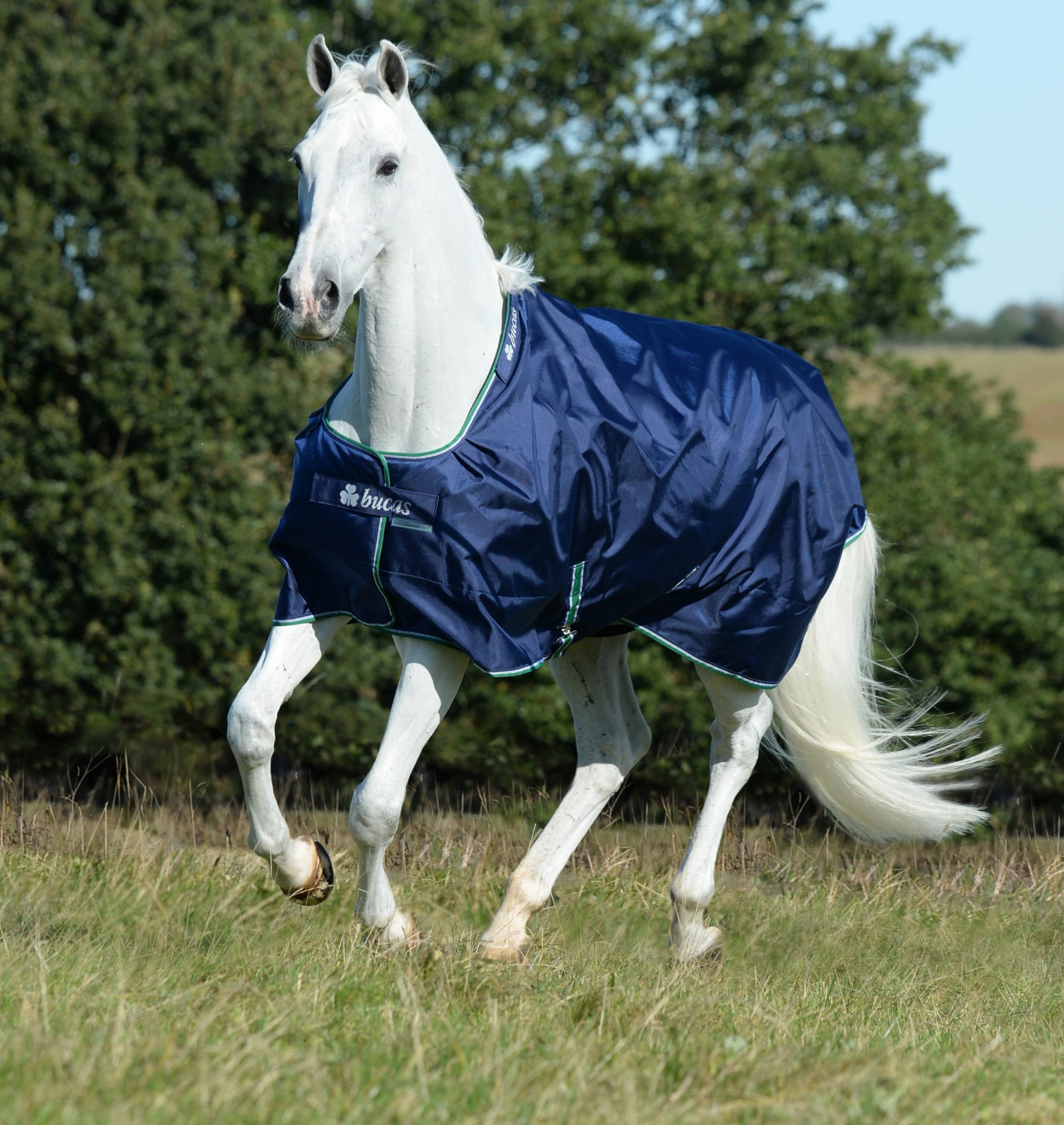 Smartex Turnout Bucas