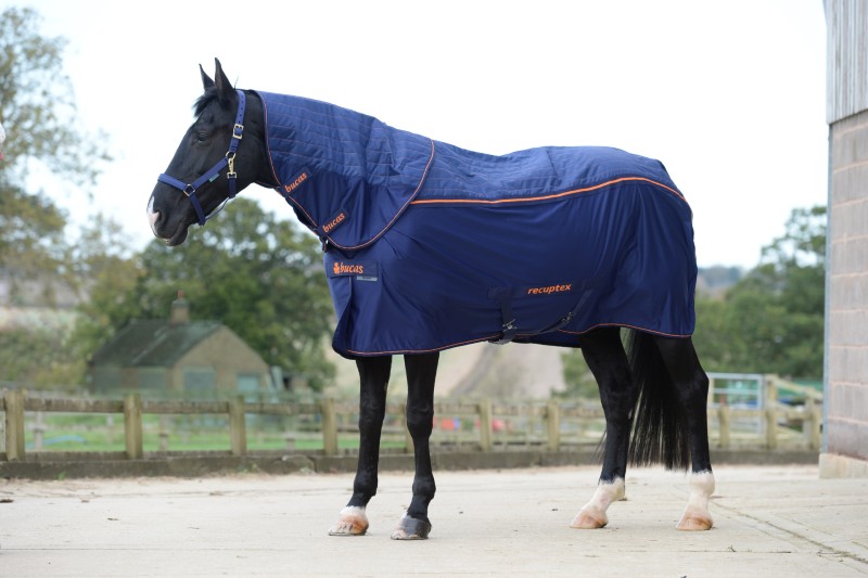 Bucas Therapy Turnout Combi Neck Bucas