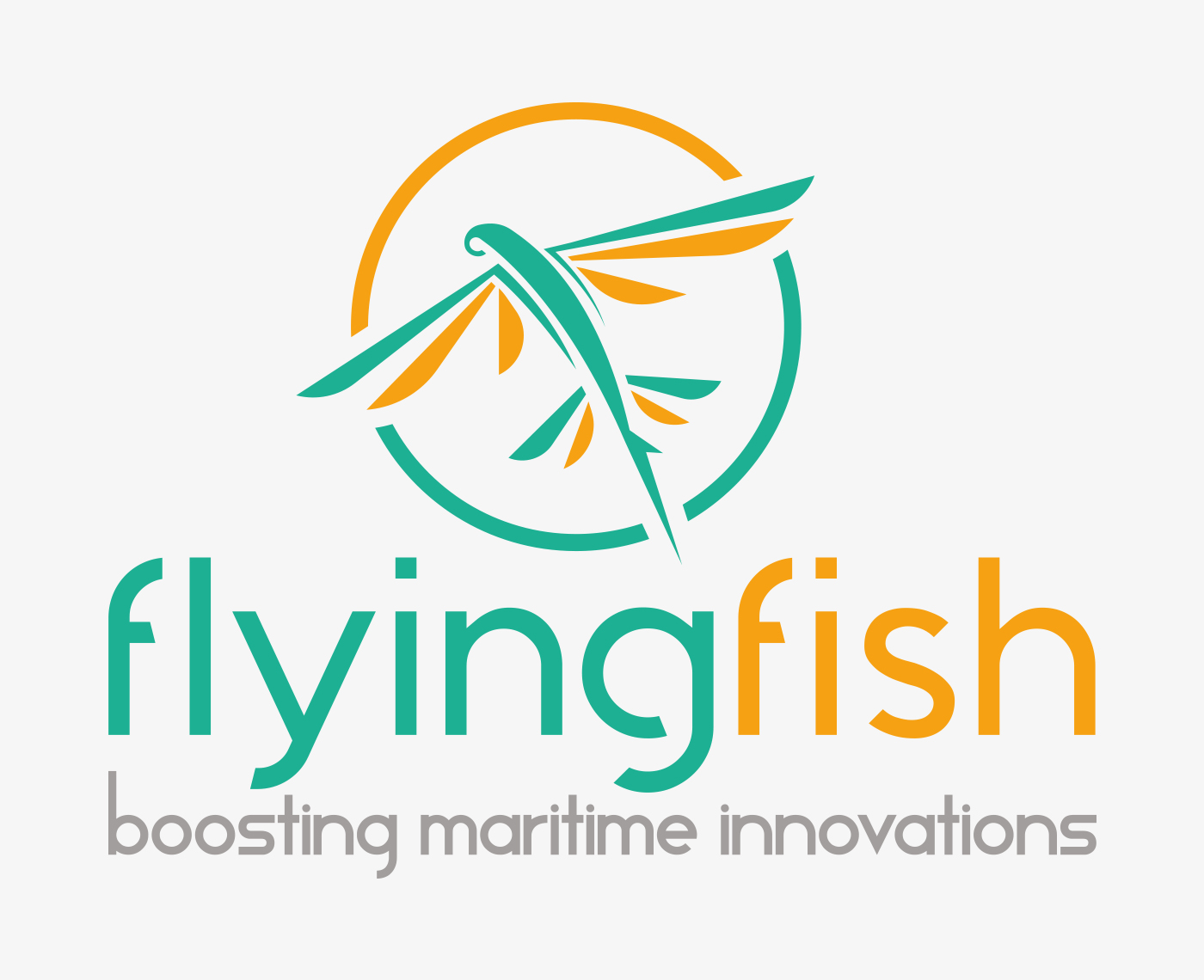 Flying Fish Buccaneer Delft