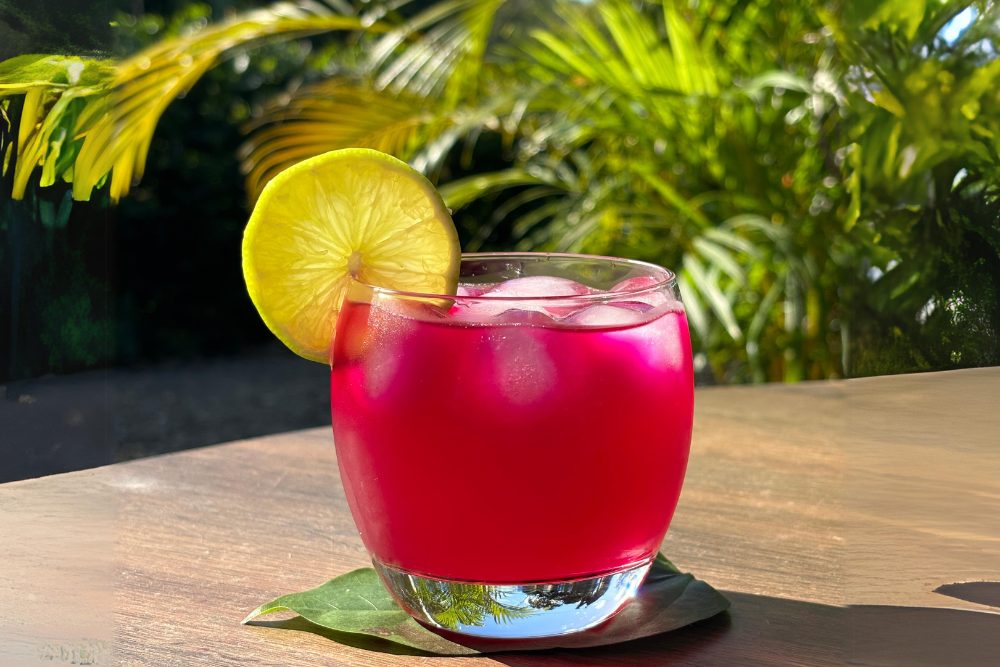 Bucha Buddha’s Ginger Beet Kombucha Recipe Bucha Buddha