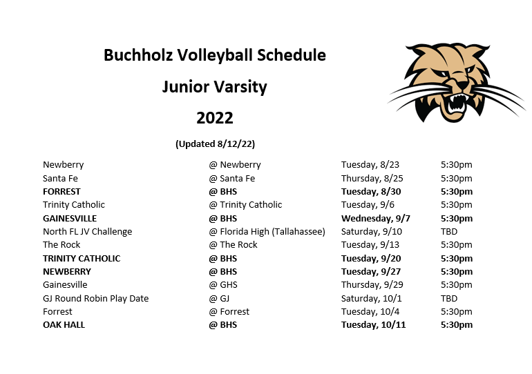 Buchholz Volleyball