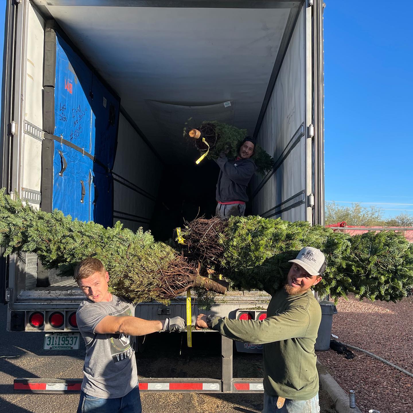 Gallery Buckelew Farm Christmas Trees