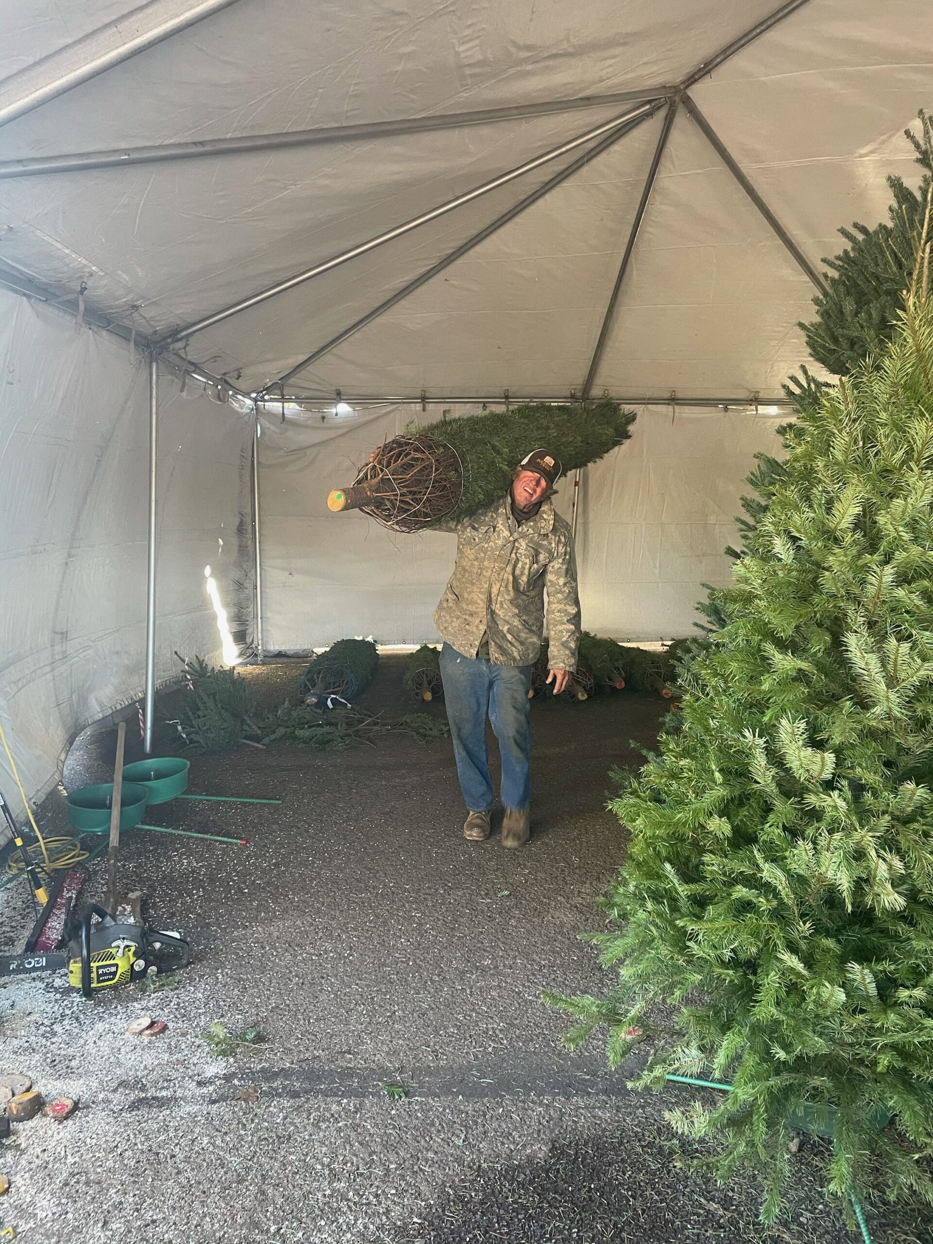 Gallery Buckelew Farm Christmas Trees