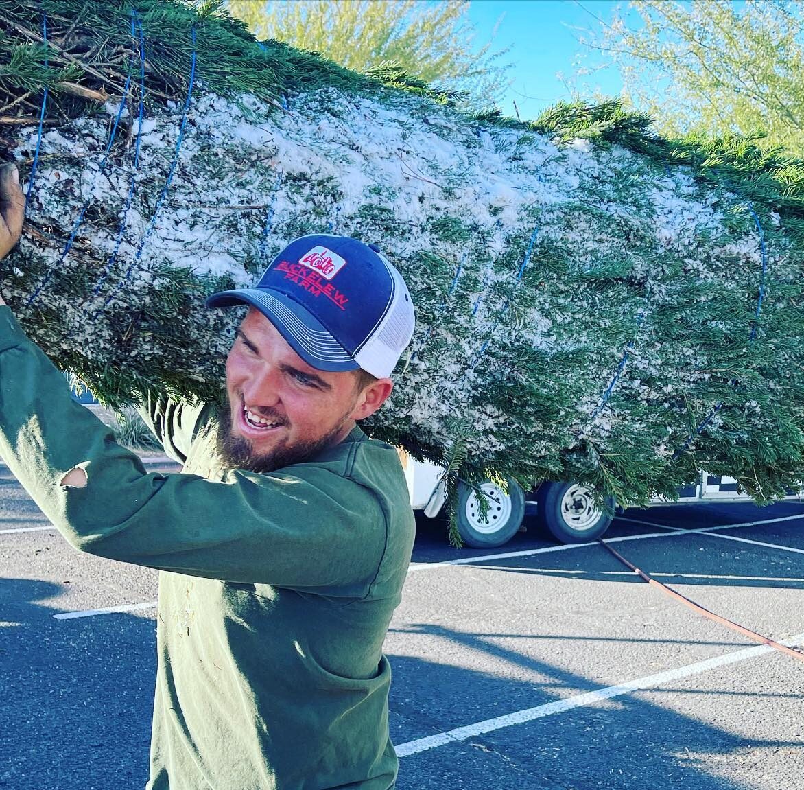 Christmas Trees Buckelew Farm Christmas Trees