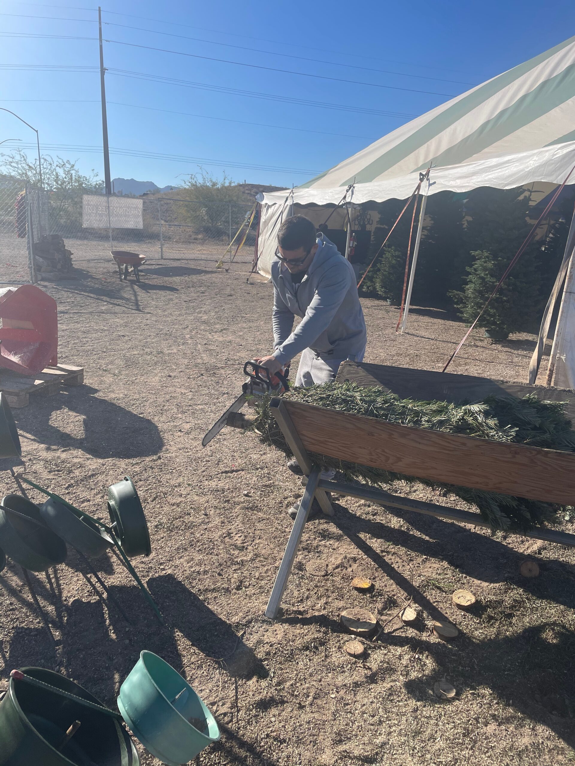 Gallery Buckelew Farm Christmas Trees