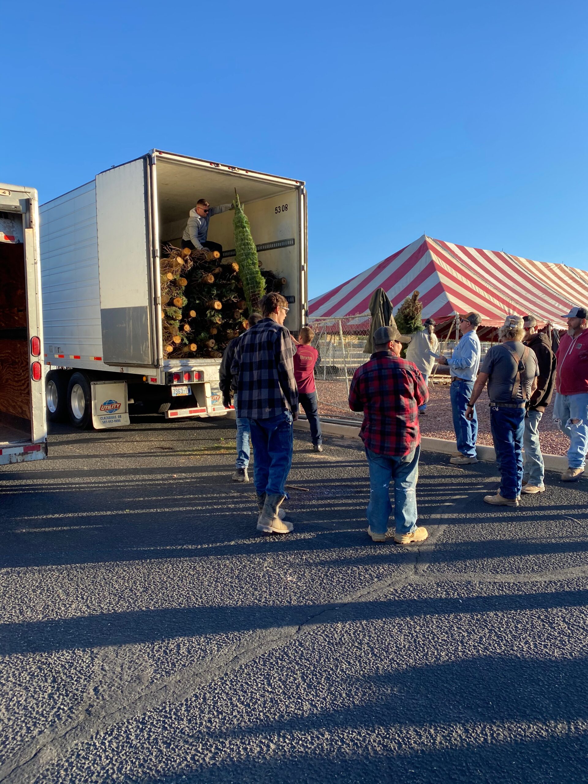 Gallery Buckelew Farm Christmas Trees