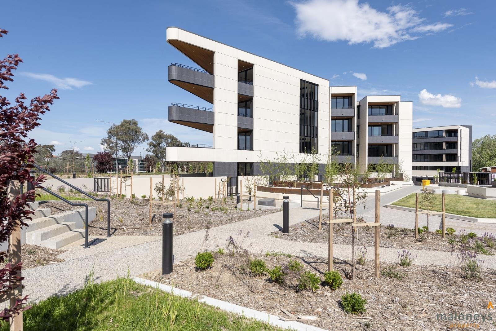62/7 State Circle, Forrest ACT 2603 Apartment For Rent 600.00 Domain