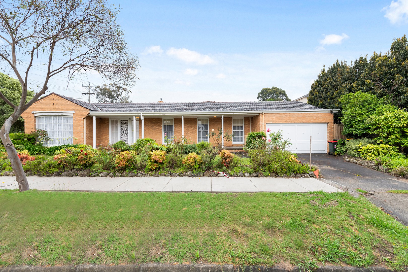 55 Josephine Avenue, Mount Waverley VIC 3149 House For Rent Domain