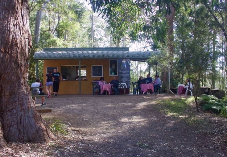 Elands NSW 2429 house for Sale, 65000 2012535377 Domain