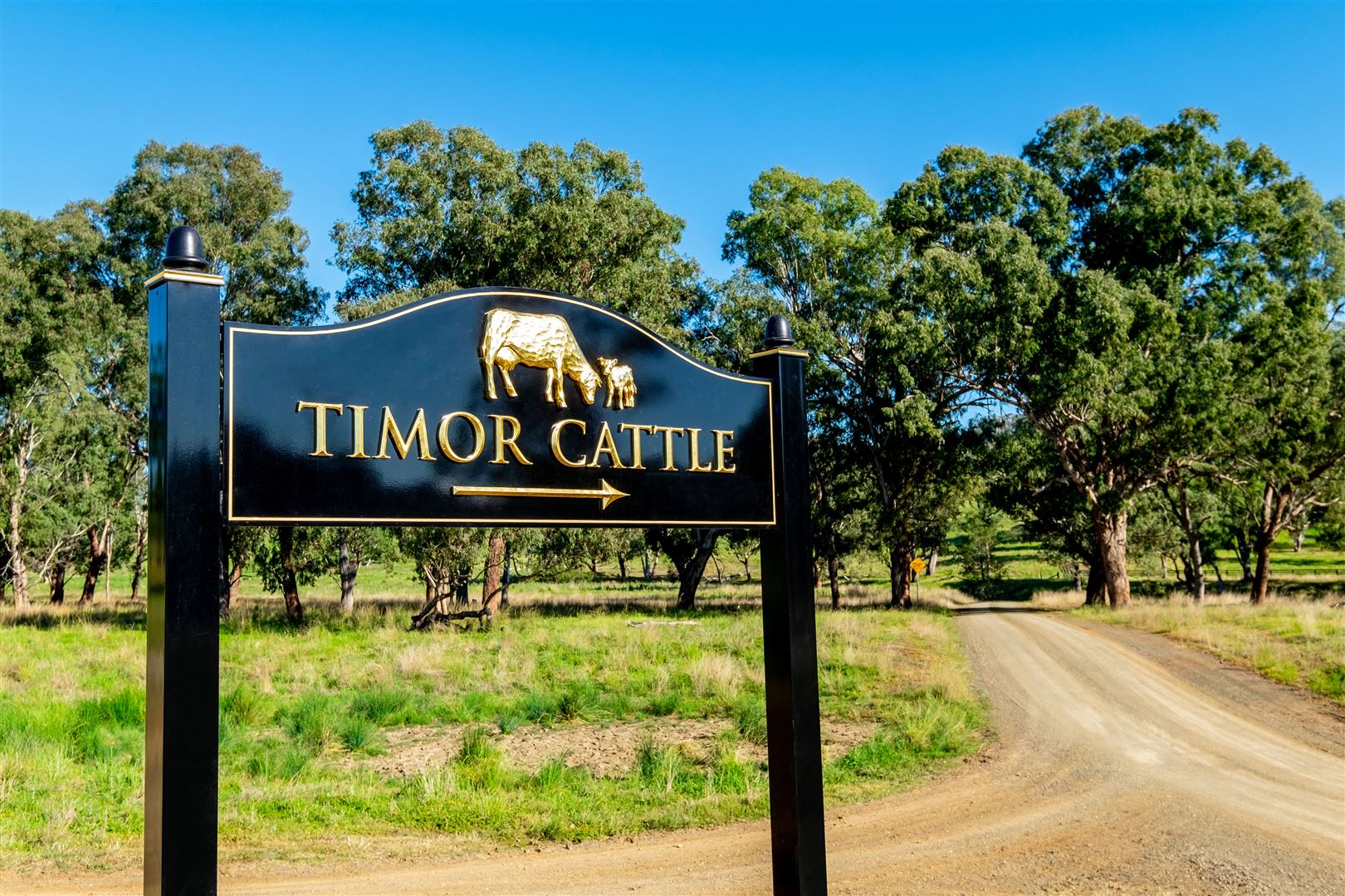 'Timor Cattle', Timor Creek Rd, Murrurundi NSW 2338 Farm for Sale