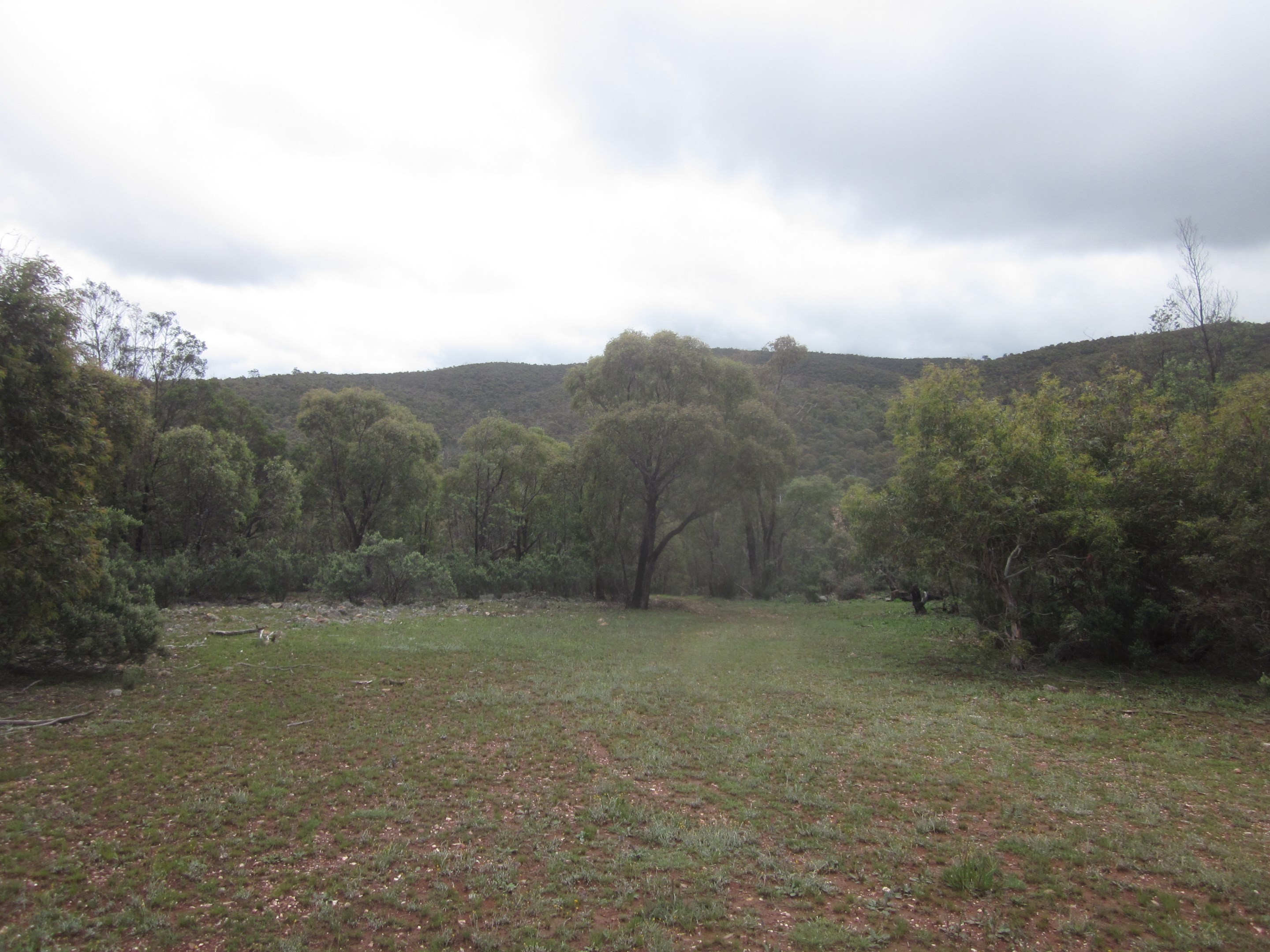 Sold Lot 1 DP 1161068 Shannons Flat Rd, Shannons Flat NSW 2630 on 22