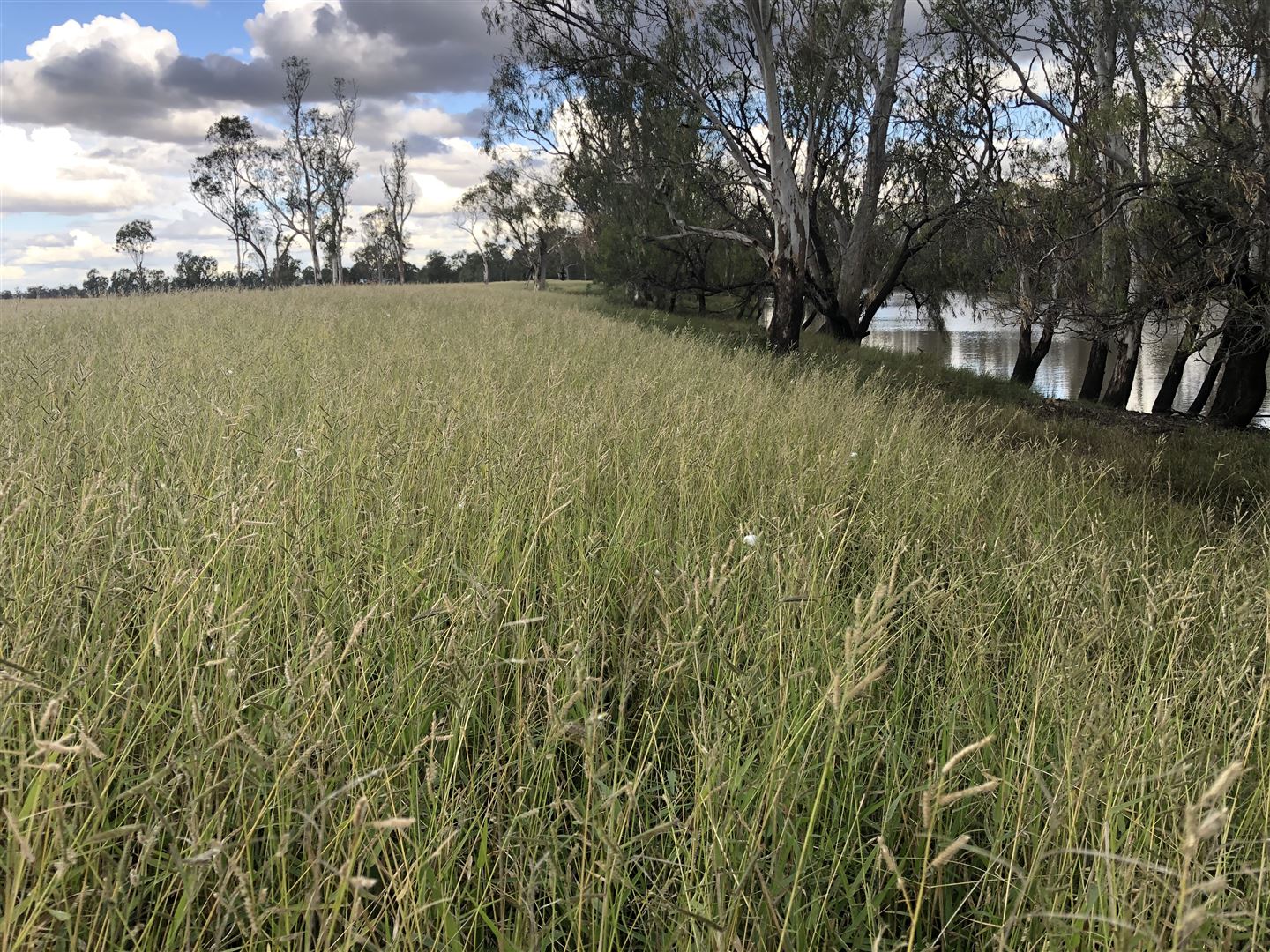 Dalby QLD 4405 Farm for Sale 930,000 Domain