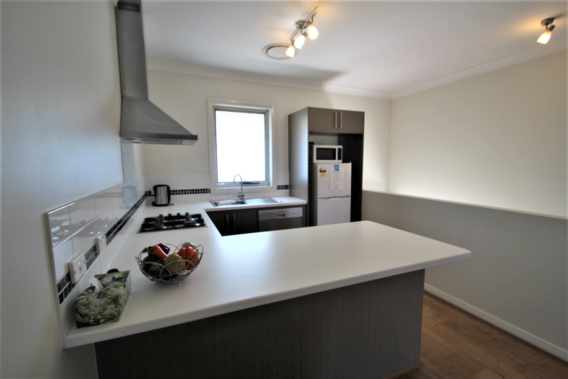 3//48 York Street, Singleton NSW 2330 Apartment For Rent Domain