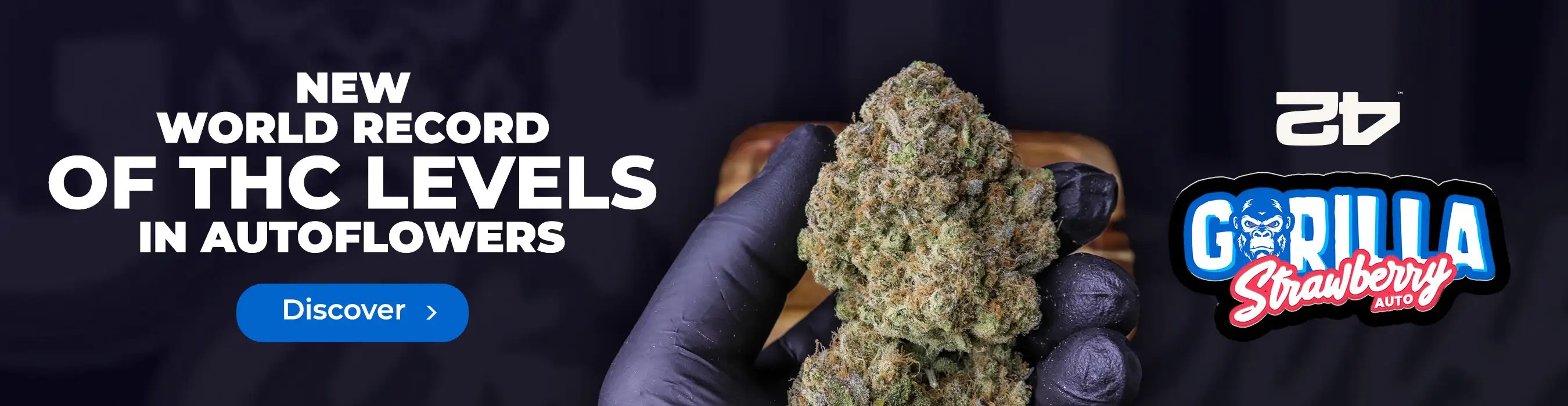How To Hide Weed — Best 15 Places To Stash Weed GrowDiaries