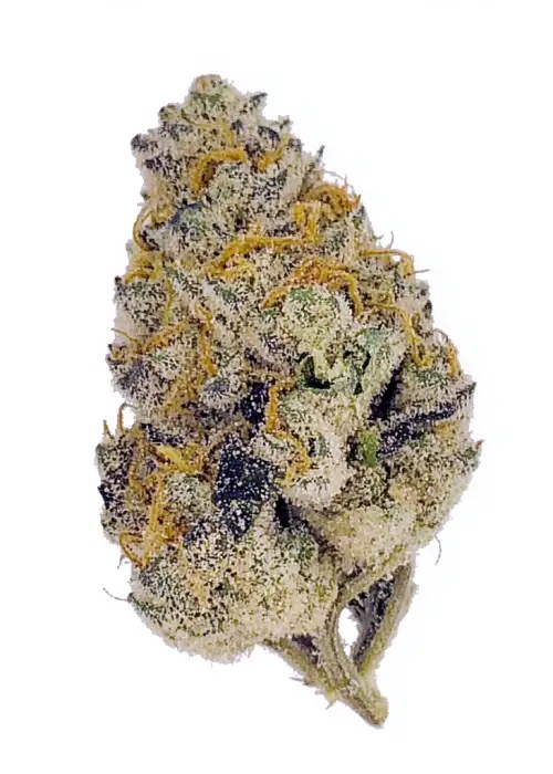 Wedding Cake Cannabis Strain Reviews GrowDiaries