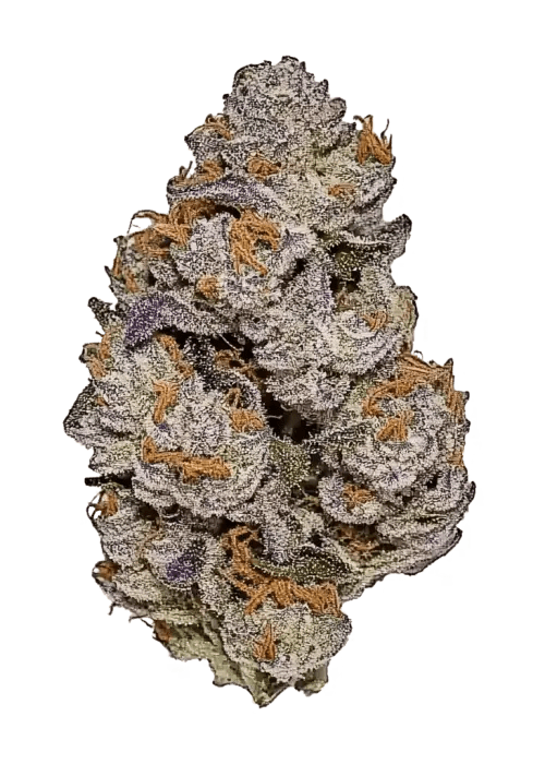 Granny Candy Cannabis Strain Information GrowDiaries(09)