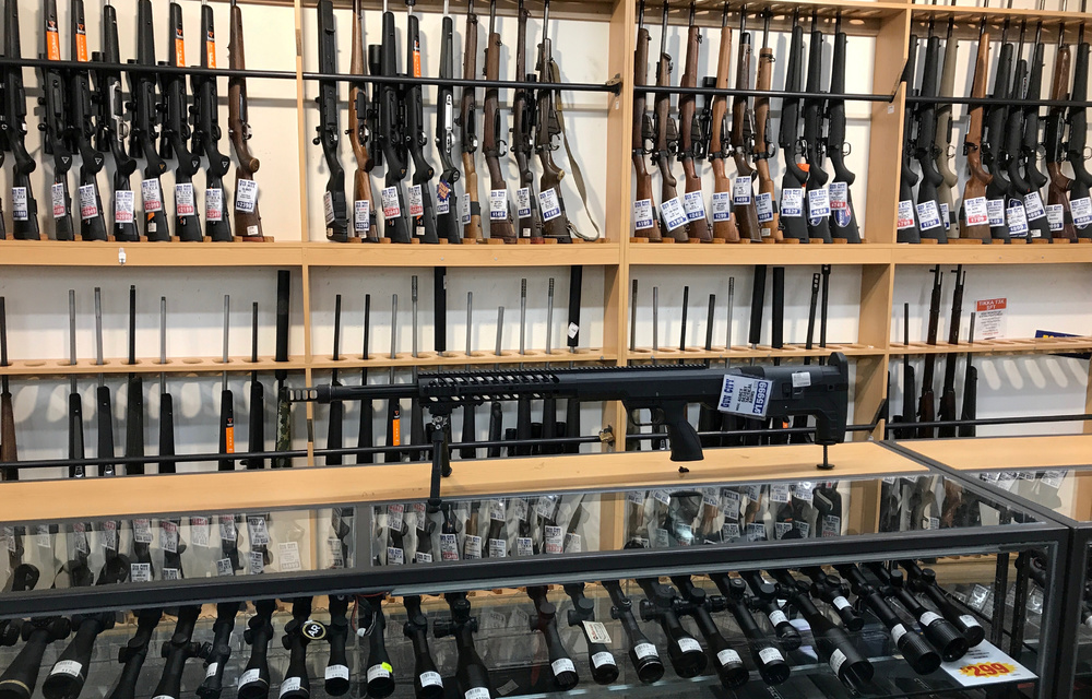 Tough New Zealand gun laws easily pass first hurdle The Mail & Guardian