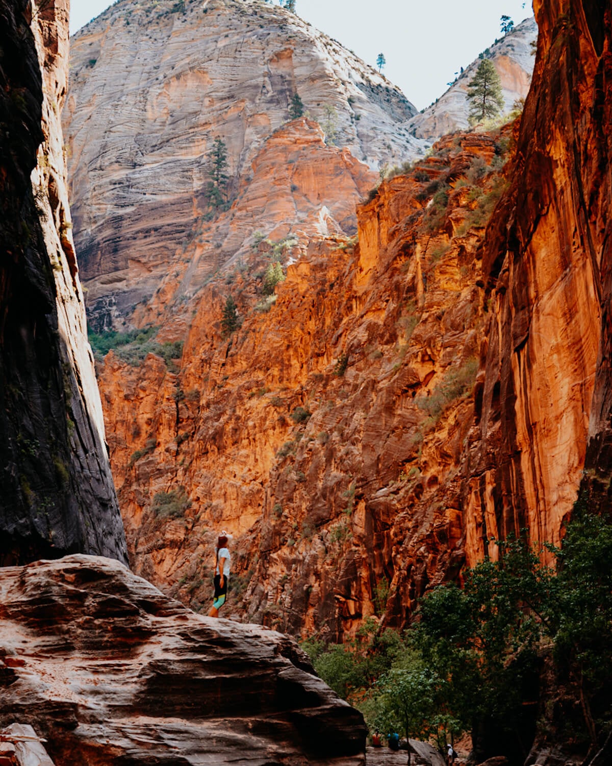 The Perfect 2 Day Zion National Park Itinerary