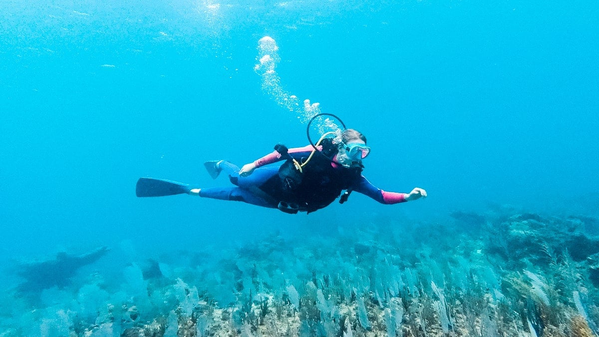 Scuba Diving in Tulum (Cenotes + Reef) THE ULTIMATE GUIDE