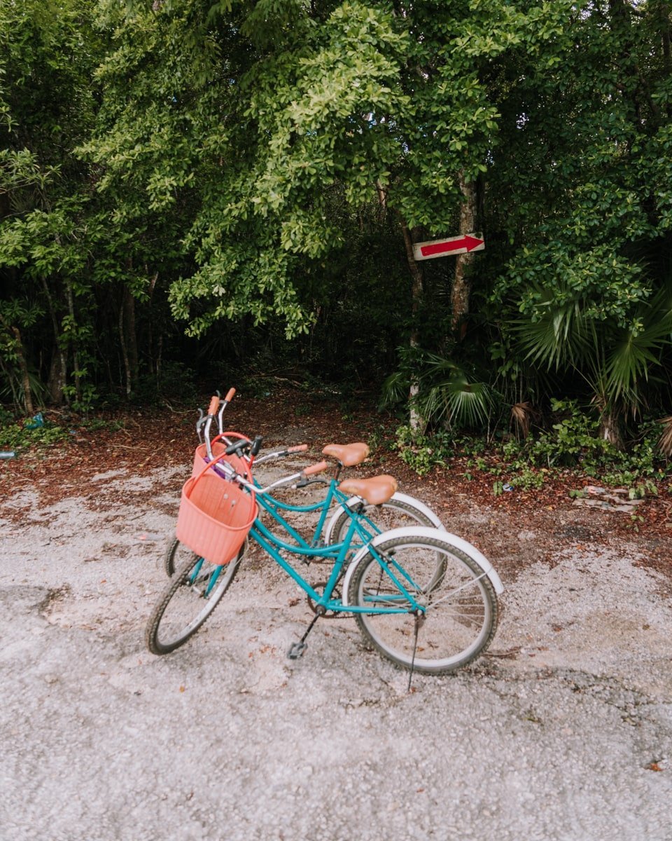The Ultimate Guide to Cenotes Cristal y Escondido in Tulum
