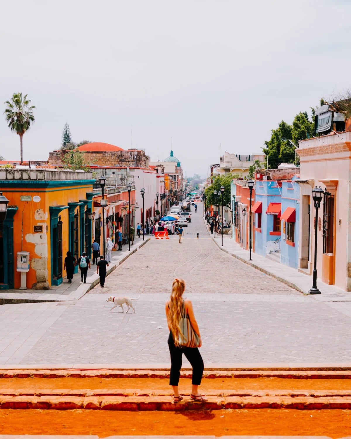 25 Awesome Things to Do in Oaxaca City (Mexico)